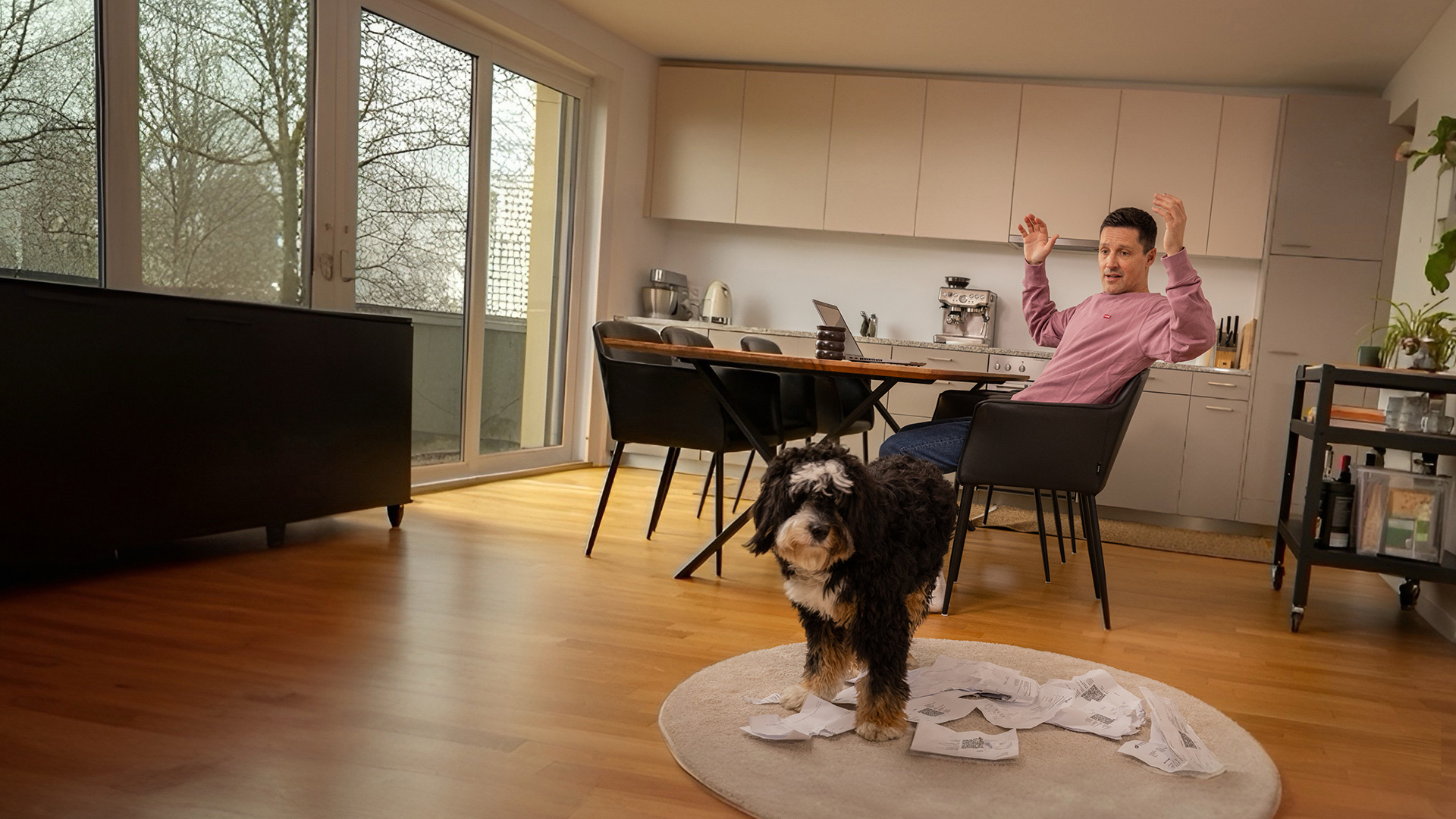 new_DB_Hund_1920x1080