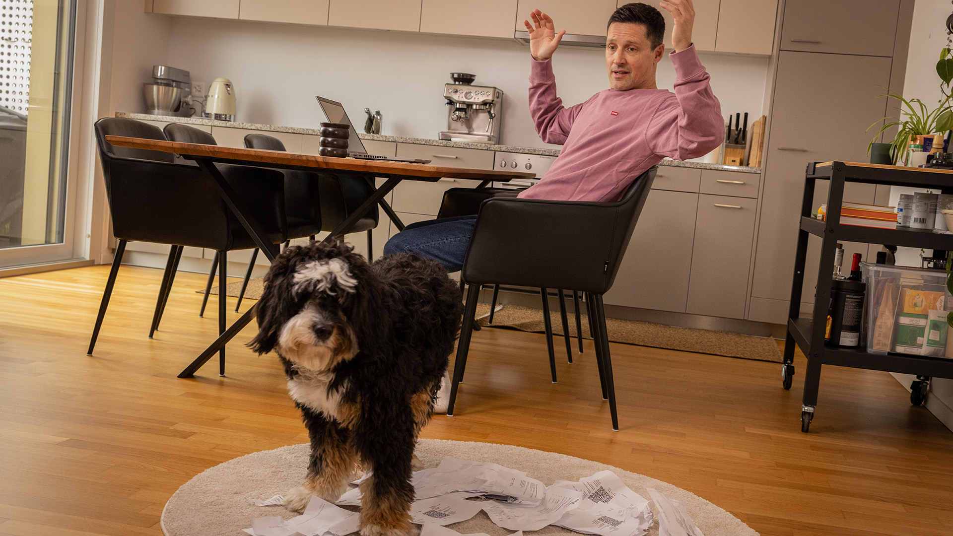 pwp_ds_hund_1920x1080